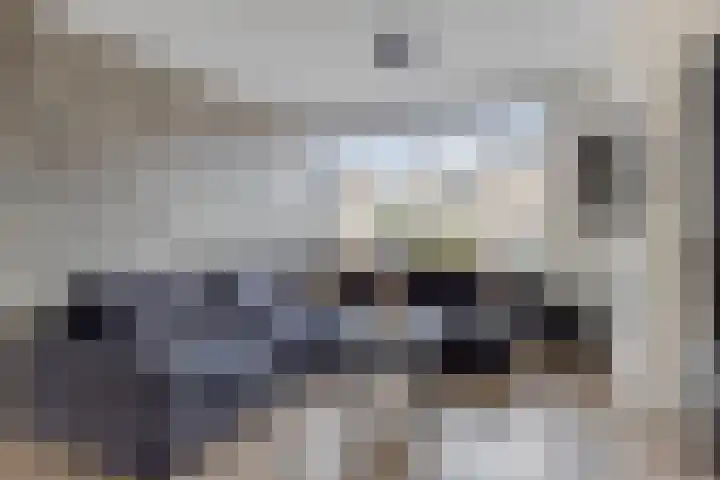 Jan Steenlaan 13 Papendrecht thumbnail 8