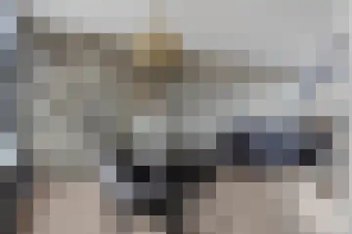 Jan Steenlaan 13 Papendrecht thumbnail 9