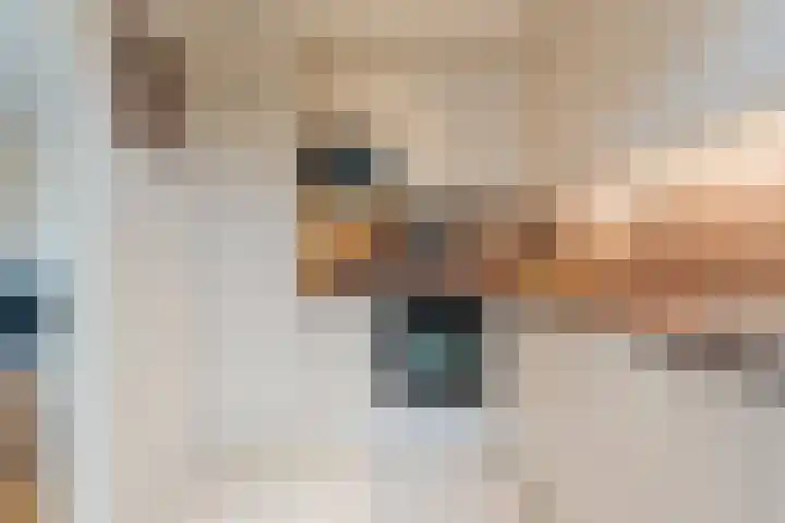 Jan Steenlaan 14 Oegstgeest thumbnail 19