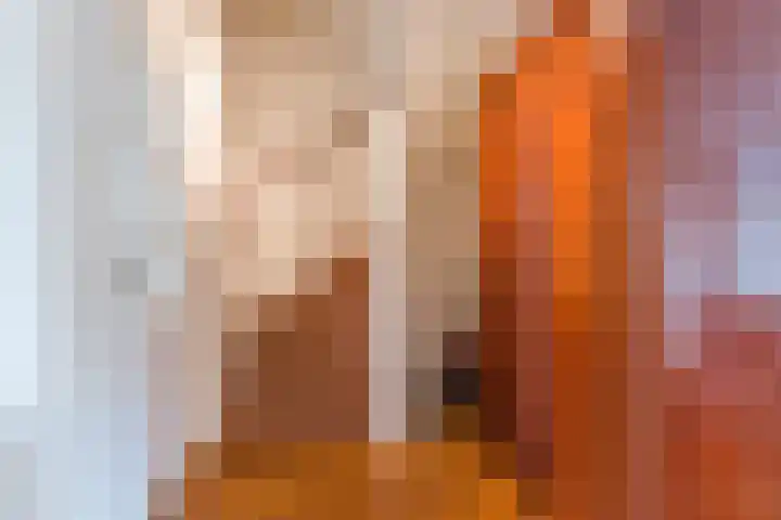 Jan Steenlaan 14 Oegstgeest thumbnail 20