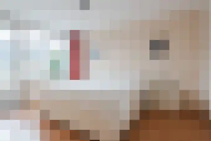 Jan Steenlaan 14 Oegstgeest thumbnail 21