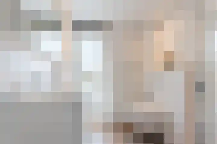 Jan Steenlaan 14 Oegstgeest thumbnail 27