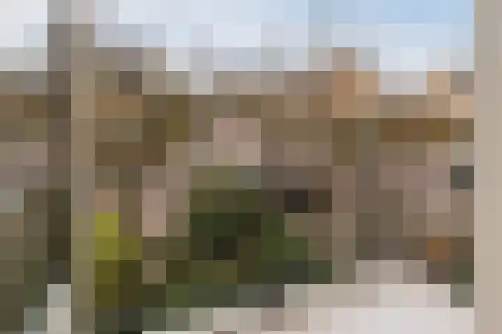 Jan Steenlaan 14 Oegstgeest thumbnail 29