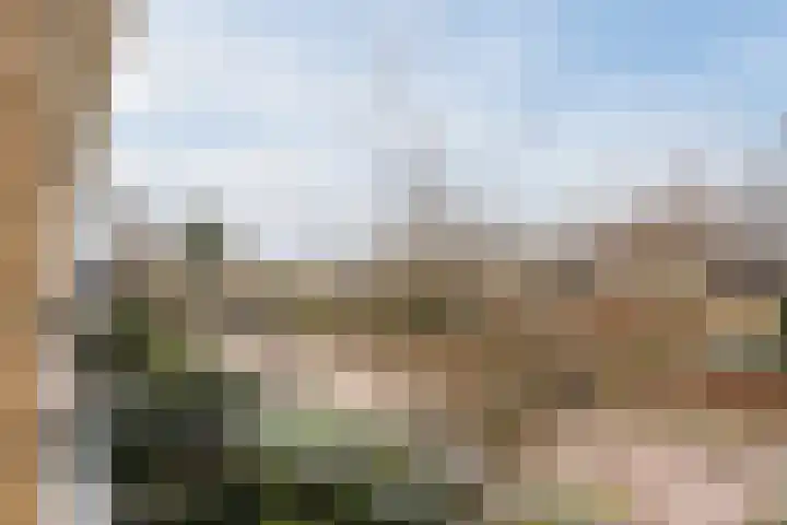 Jan Steenlaan 14 Oegstgeest thumbnail 30