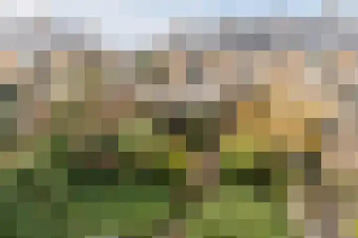 Jan Steenlaan 14 Oegstgeest thumbnail 42
