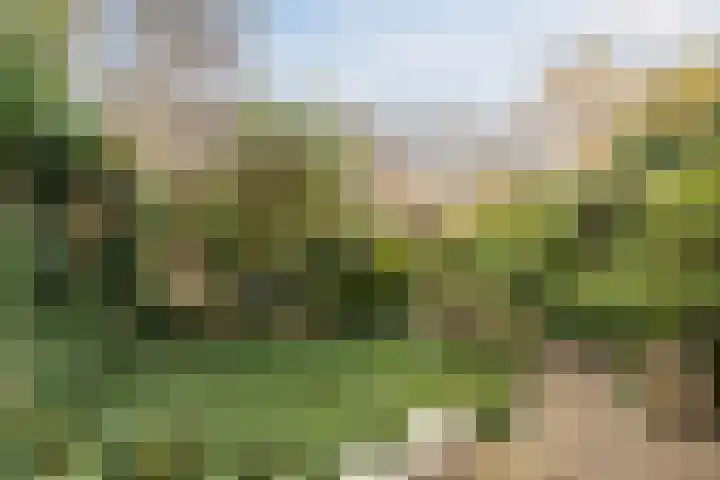 Jan Steenlaan 14 Oegstgeest thumbnail 43