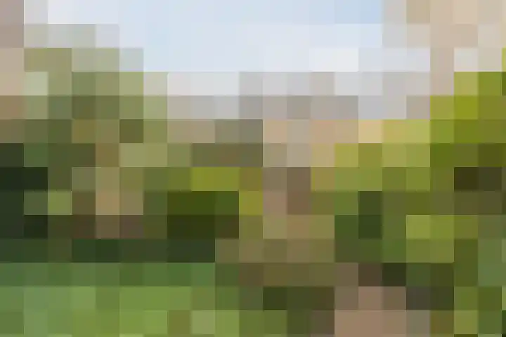 Jan Steenlaan 14 Oegstgeest thumbnail 44