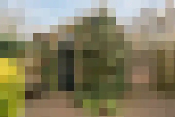 Jan Steenlaan 14 Oegstgeest thumbnail 45