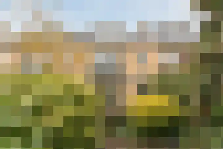 Jan Steenlaan 14 Oegstgeest thumbnail 47