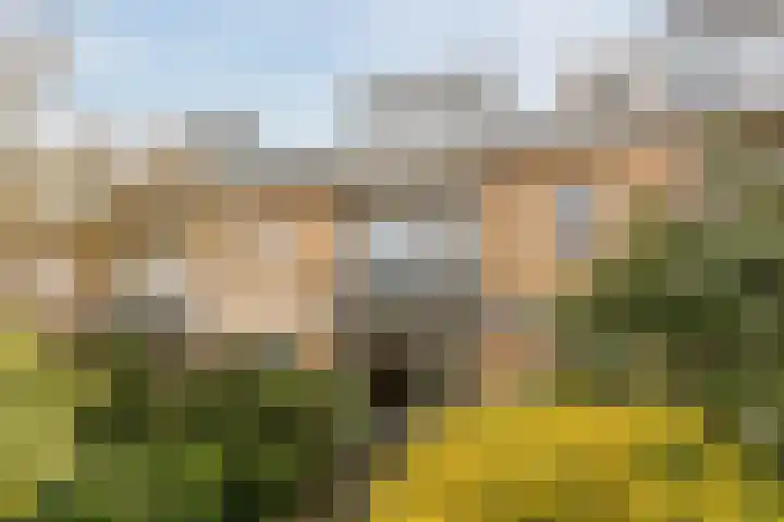 Jan Steenlaan 14 Oegstgeest thumbnail 5