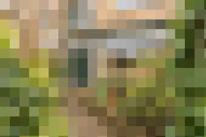 Jan Steenlaan 14 Oegstgeest thumbnail 6
