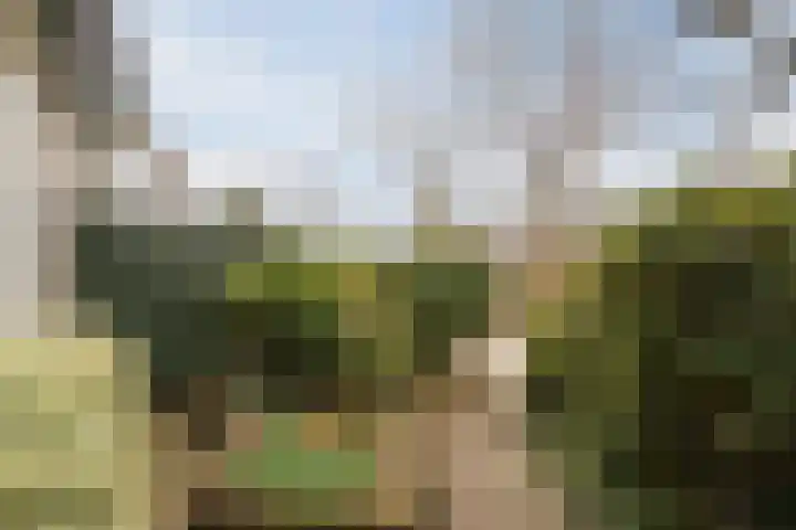 Jan Steenlaan 14 Oegstgeest thumbnail 7