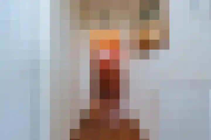 Jan Steenlaan 14 Oegstgeest thumbnail 8