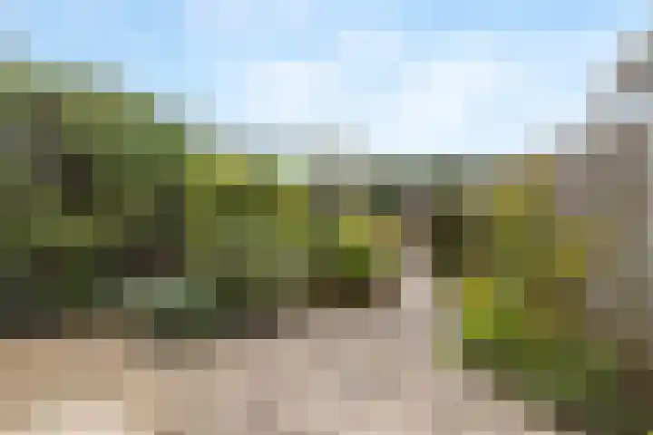 Jan Steenlaan 152 Papendrecht thumbnail 4