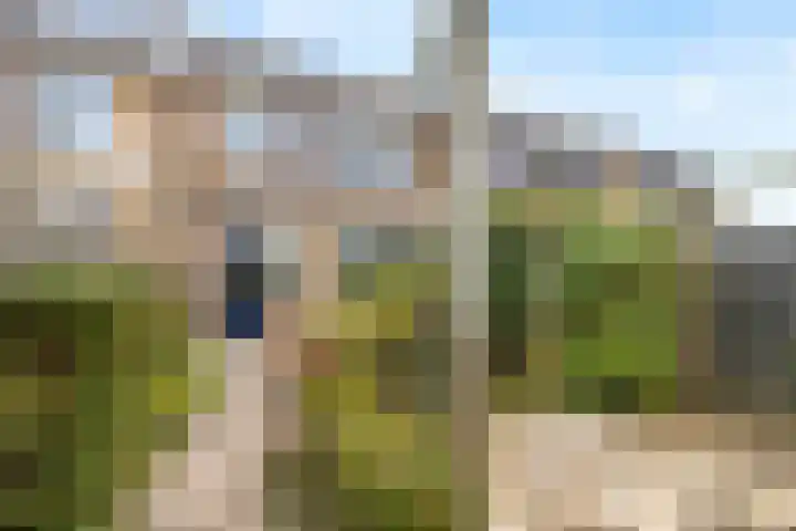Jan Steenlaan 152 Papendrecht thumbnail 5