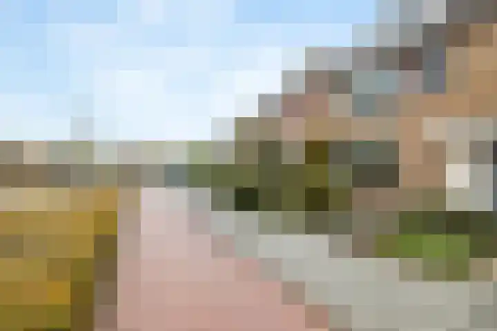 Jan Steenlaan 152 Papendrecht thumbnail 6