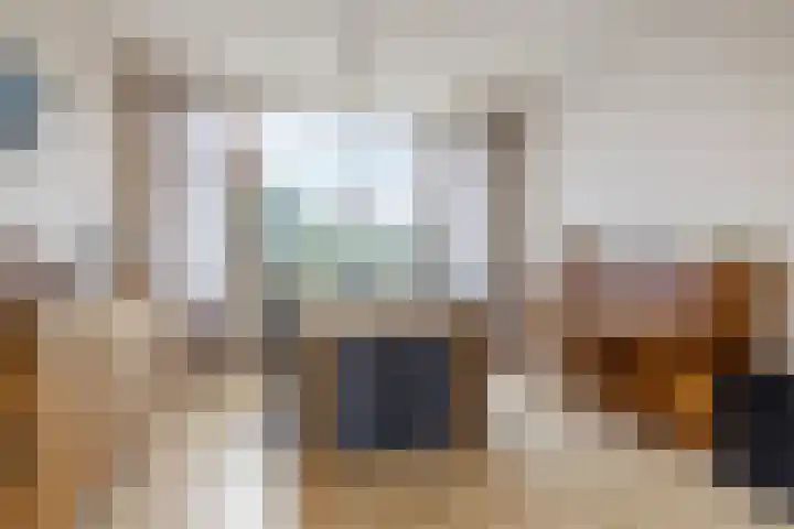 Jan Steenlaan 152 Papendrecht thumbnail 9