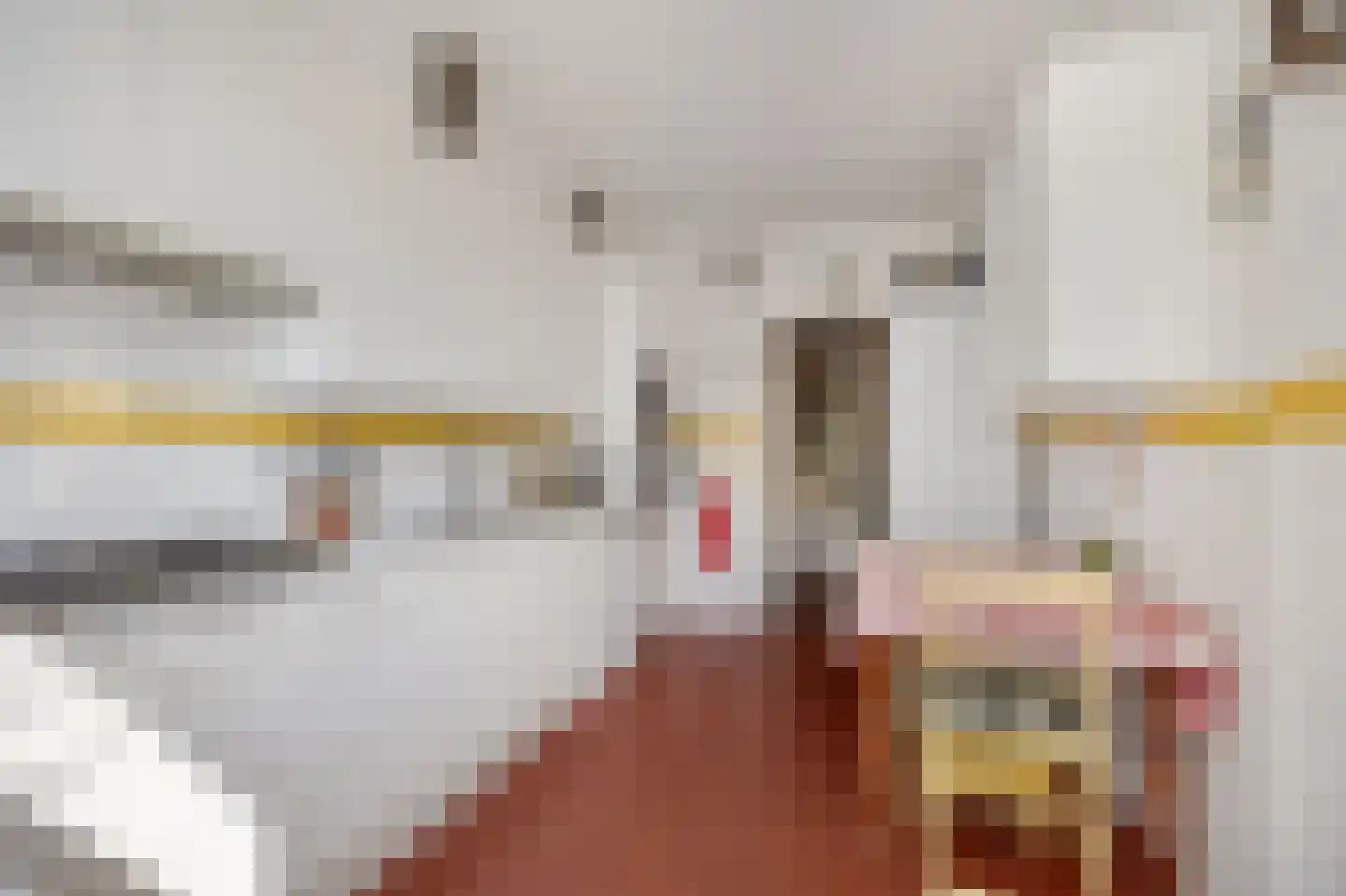 Jan Steenlaan 18 Heemstede thumbnail 8