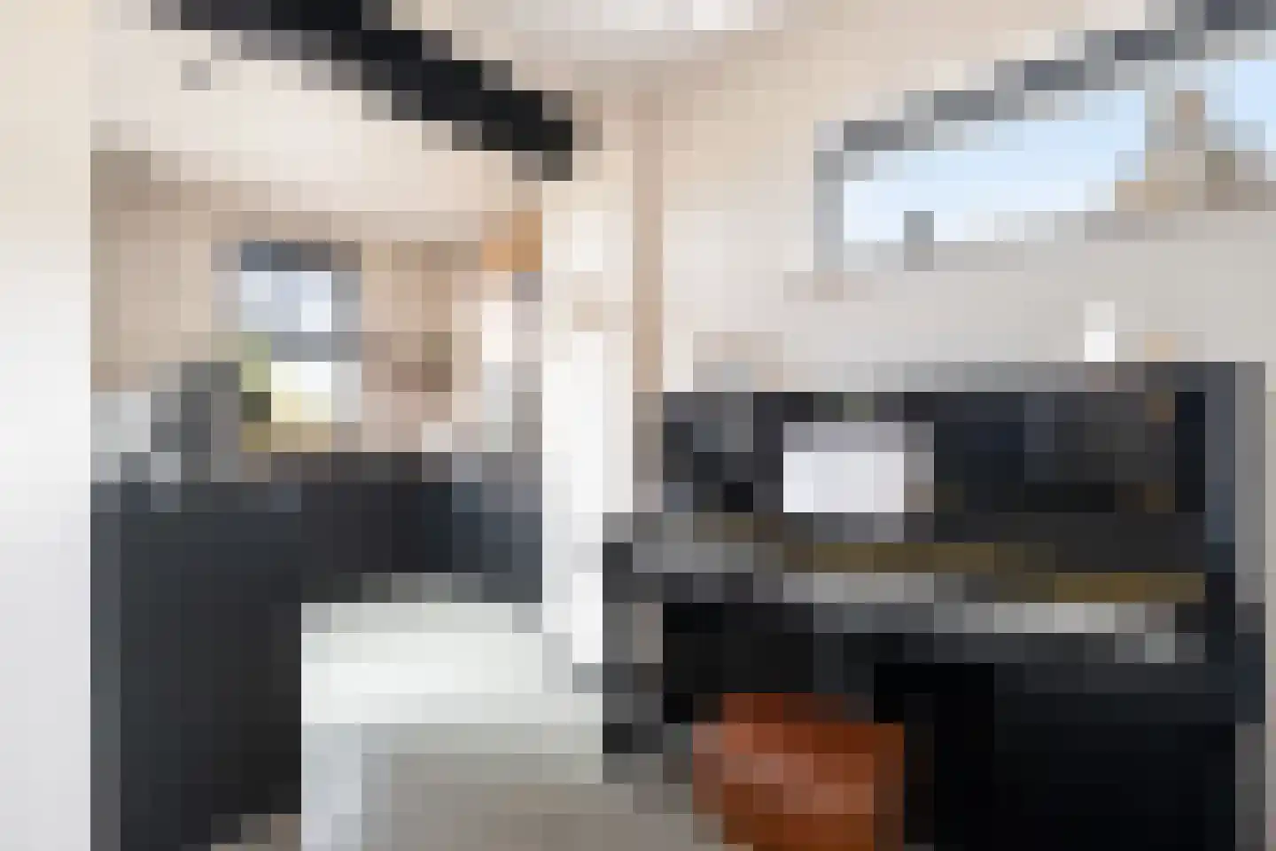 Jan Steenlaan 19 Stolwijk thumbnail 10