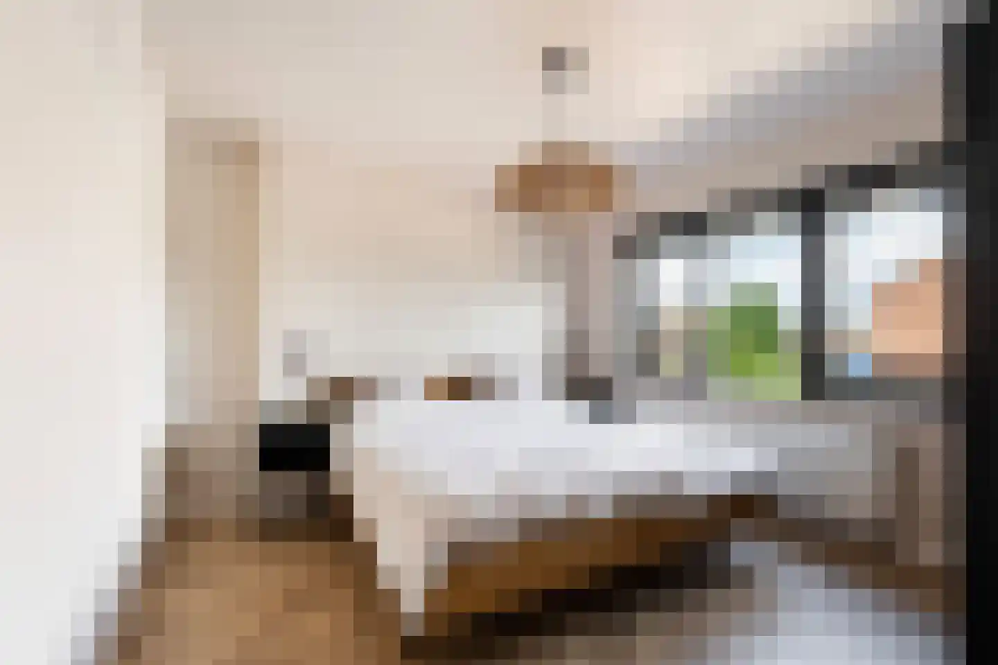 Jan Steenlaan 19 Stolwijk thumbnail 16