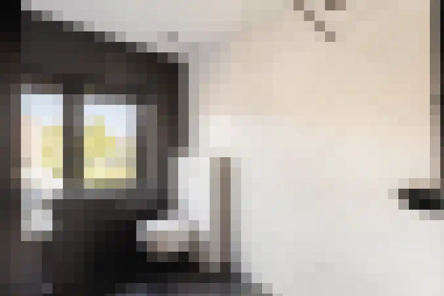 Jan Steenlaan 19 Stolwijk thumbnail 22