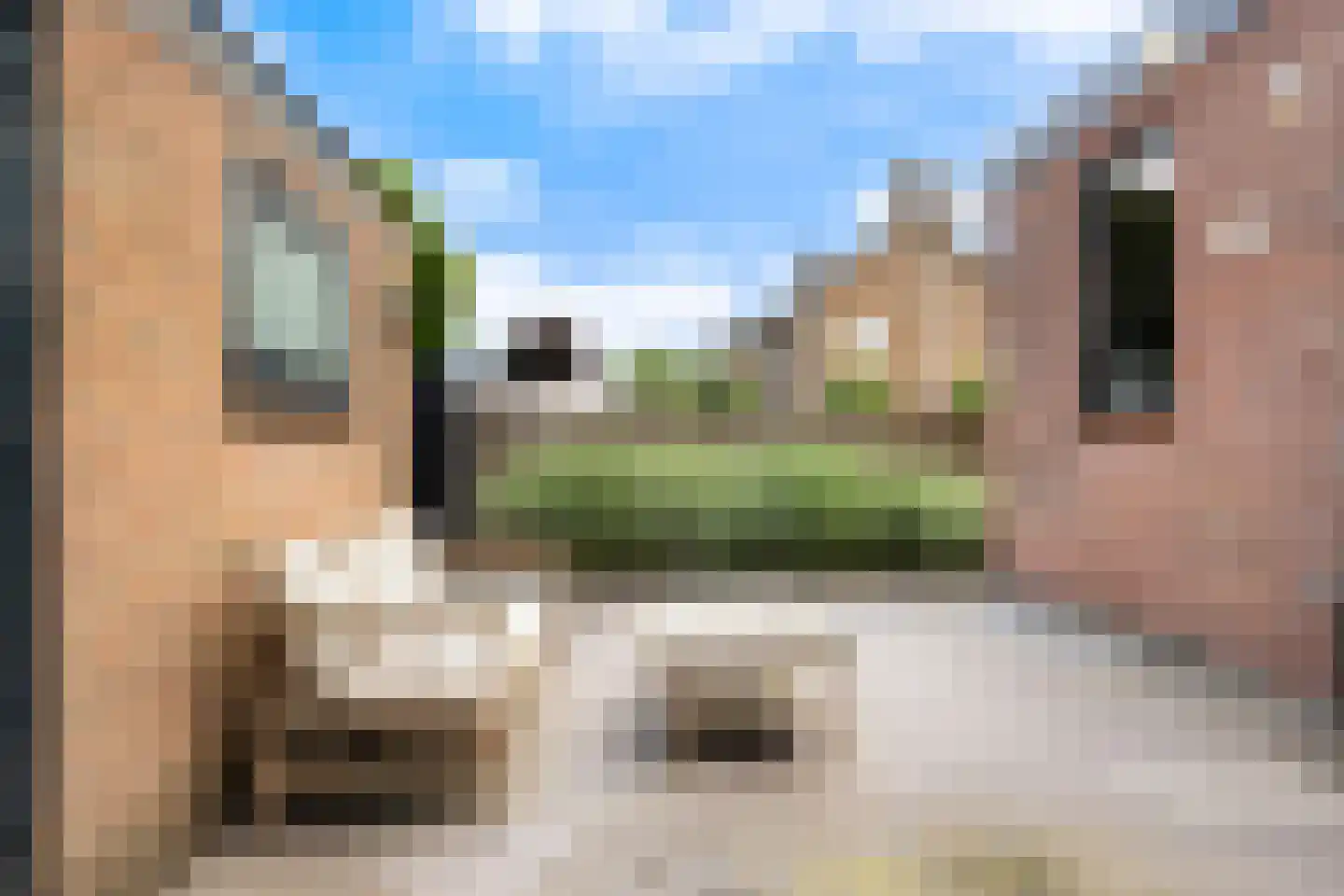 Jan Steenlaan 19 Stolwijk thumbnail 33
