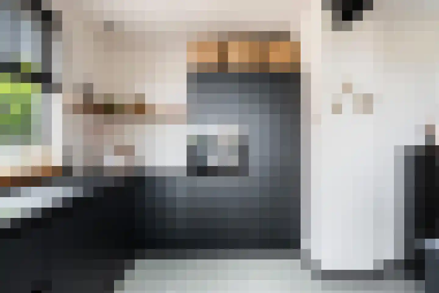 Jan Steenlaan 19 Stolwijk thumbnail 4