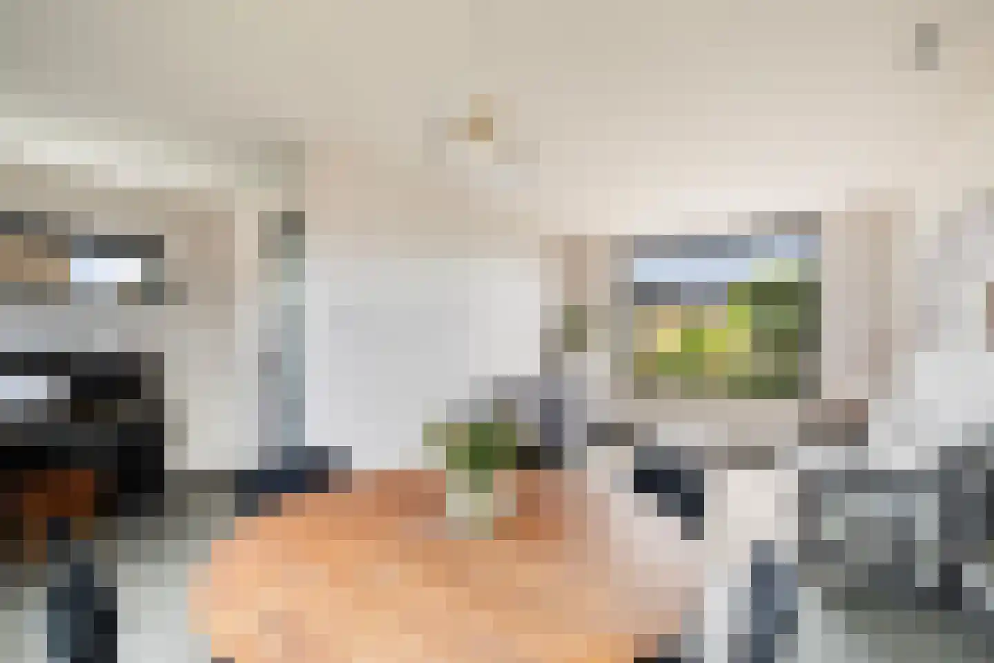 Jan Steenlaan 19 Stolwijk thumbnail 7