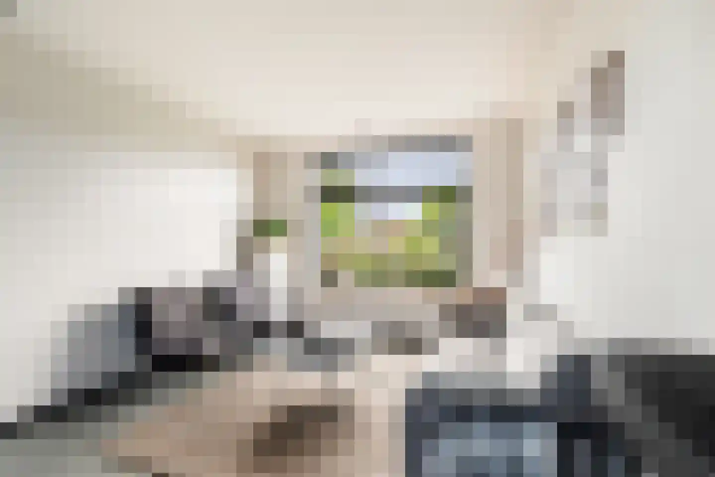 Jan Steenlaan 19 Stolwijk thumbnail 8