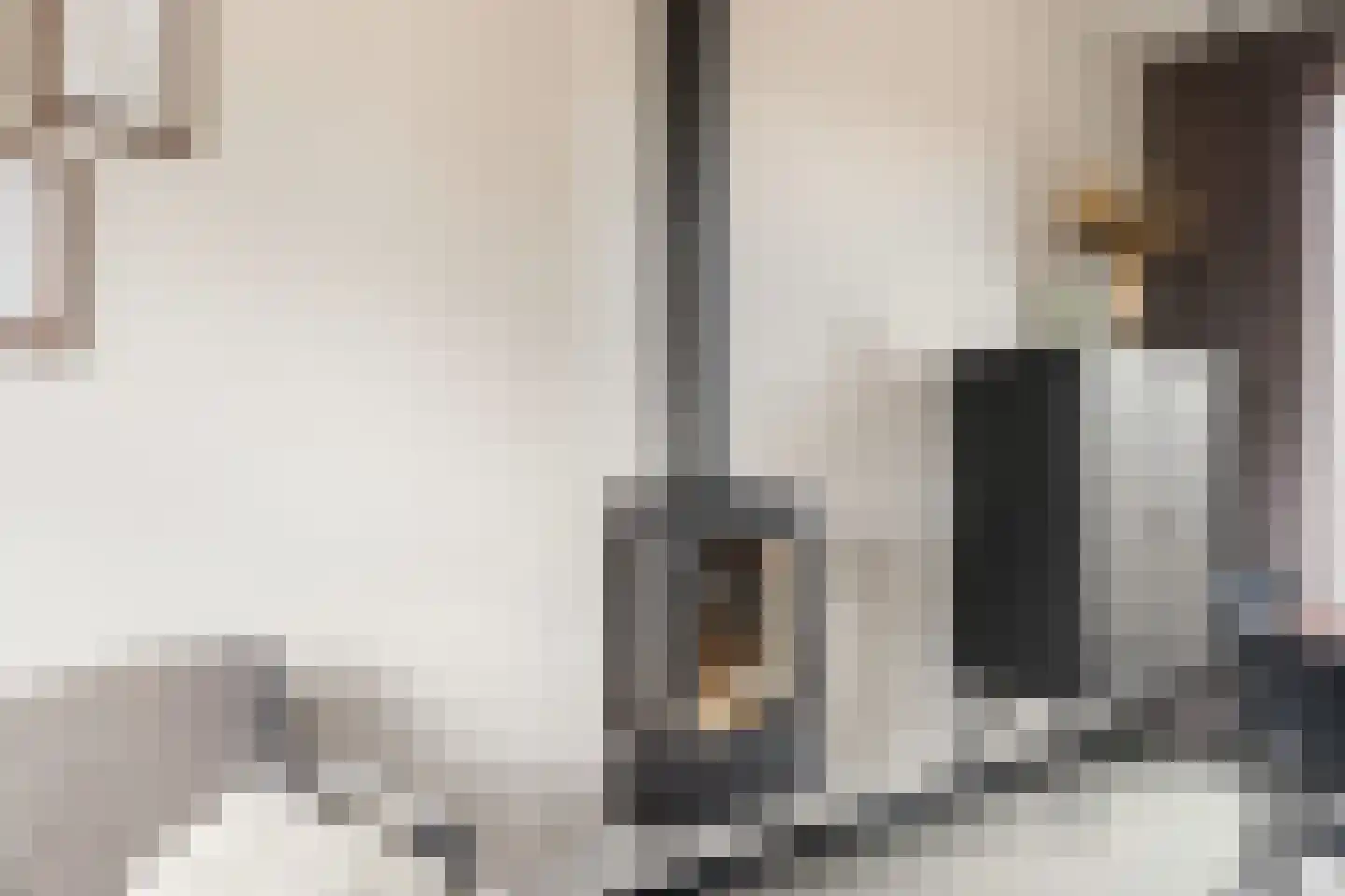 Jan Steenlaan 19 Stolwijk thumbnail 9