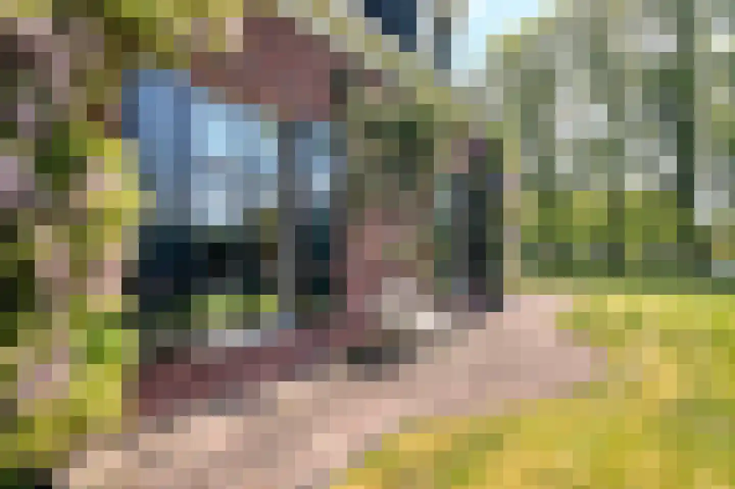 Jan Steenlaan 19 Warmond thumbnail 12