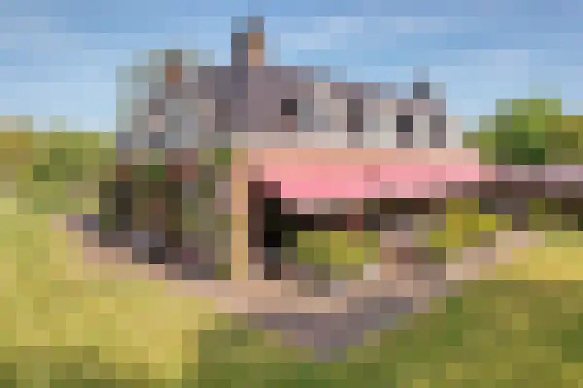 Jan Steenlaan 19 Warmond thumbnail 17