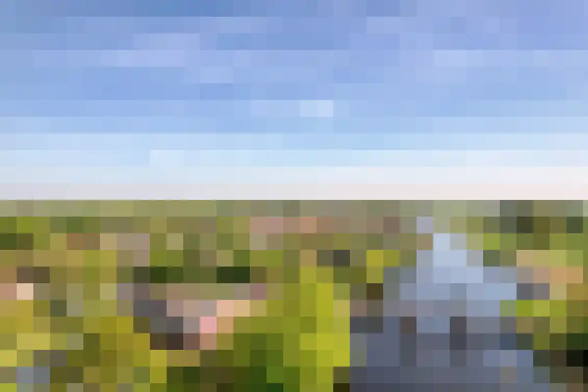 Jan Steenlaan 19 Warmond thumbnail 24