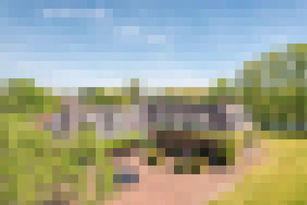 Jan Steenlaan 19 Warmond thumbnail 4