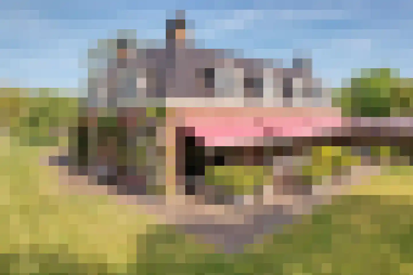 Jan Steenlaan 19 Warmond thumbnail 5