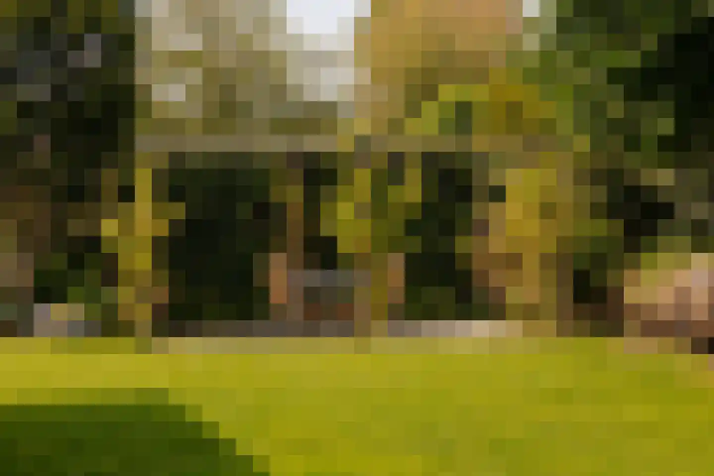 Jan Steenlaan 2 Loosdrecht thumbnail 36