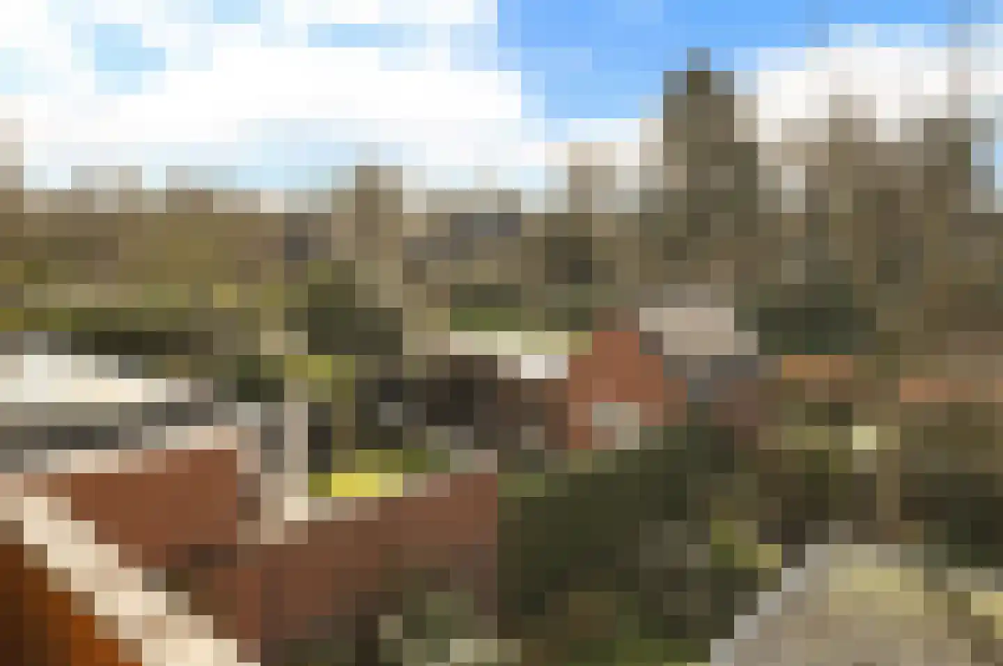 Jan Steenlaan 22 Naarden thumbnail 26