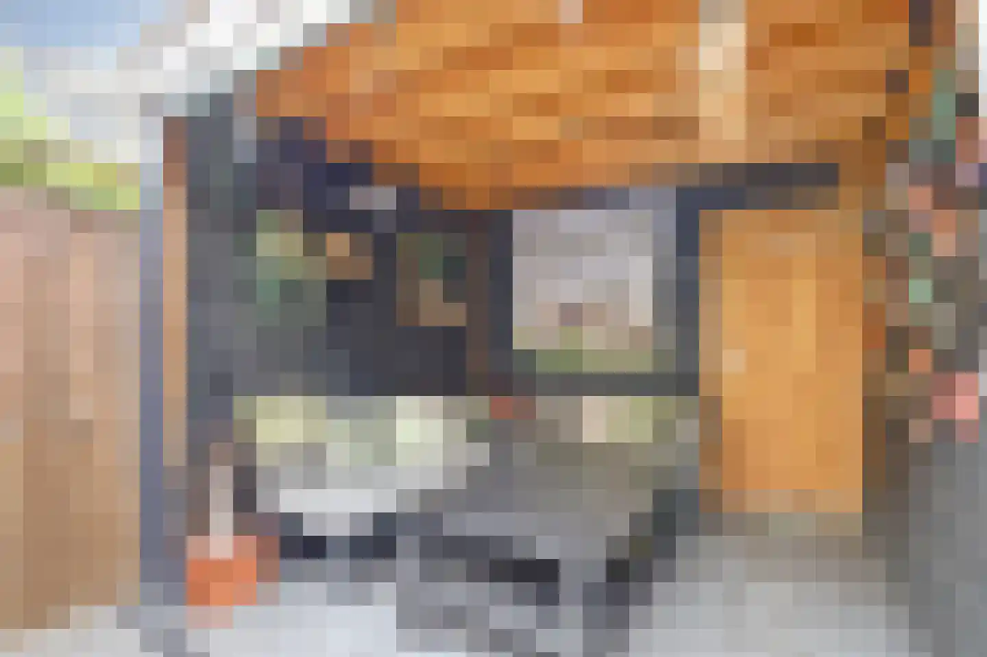 Jan Steenlaan 23 Papendrecht thumbnail 15
