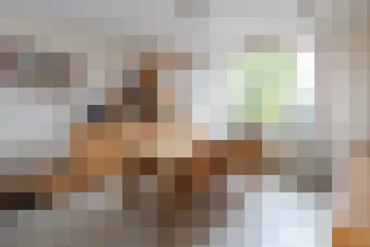Jan Steenlaan 24 Papendrecht thumbnail 10