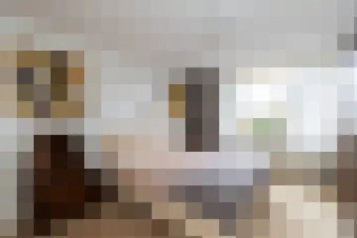 Jan Steenlaan 24 Papendrecht thumbnail 12