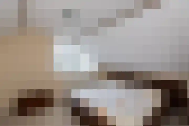 Jan Steenlaan 24 Papendrecht thumbnail 17