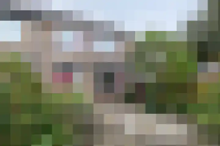 Jan Steenlaan 24 Papendrecht thumbnail 20