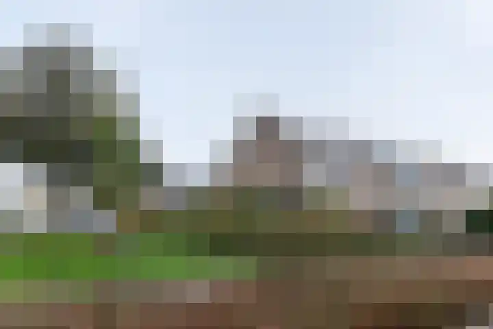 Jan Steenlaan 24 Papendrecht thumbnail 21