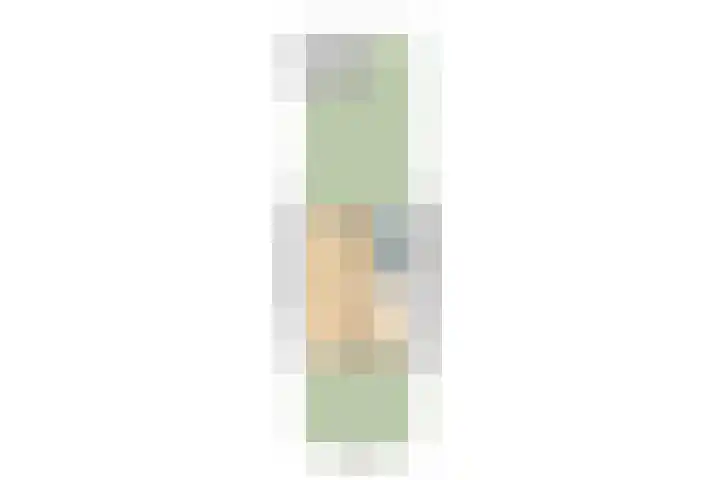 Jan Steenlaan 24 Papendrecht thumbnail 22