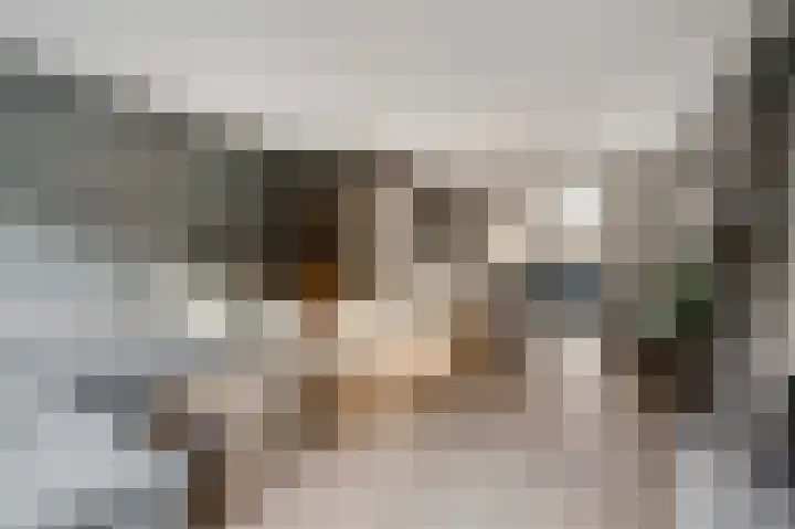 Jan Steenlaan 25 Ede thumbnail 5