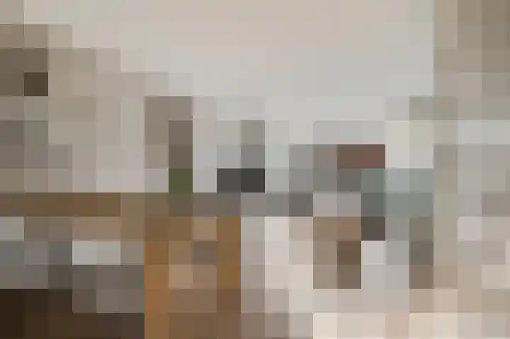 Jan Steenlaan 25 Ede thumbnail 7