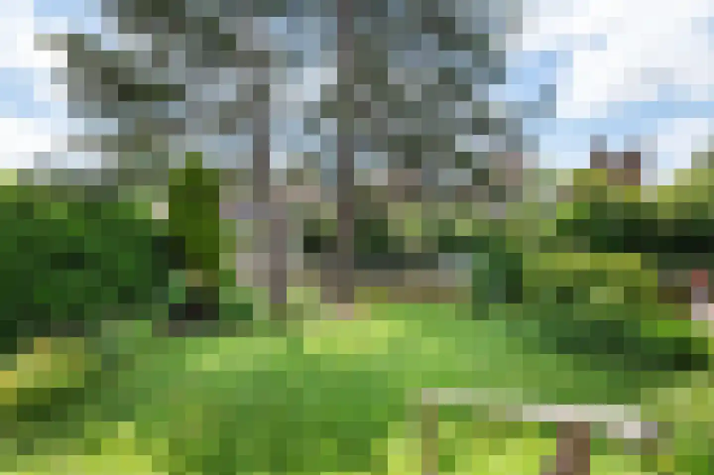 Jan Steenlaan 26 Heemstede thumbnail 4