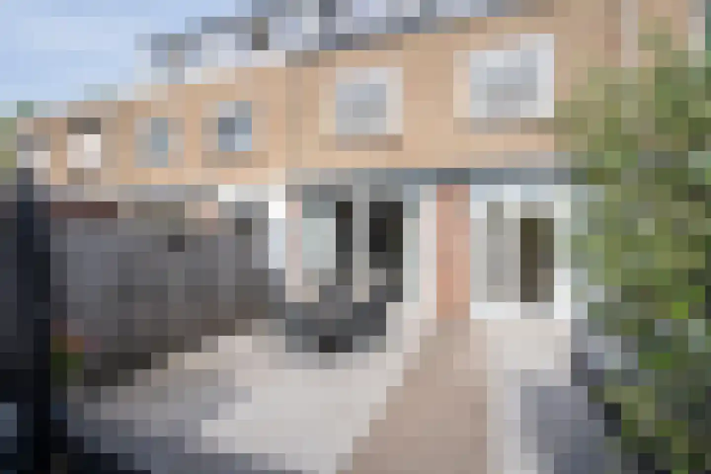 Jan Steenlaan 29 Papendrecht thumbnail 4