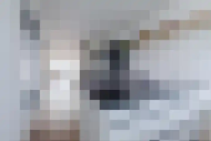 Jan Steenlaan 31 Oosterhout thumbnail 20