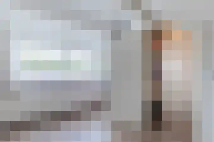 Jan Steenlaan 31 Oosterhout thumbnail 35